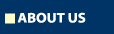 About Western Blasting Technologies